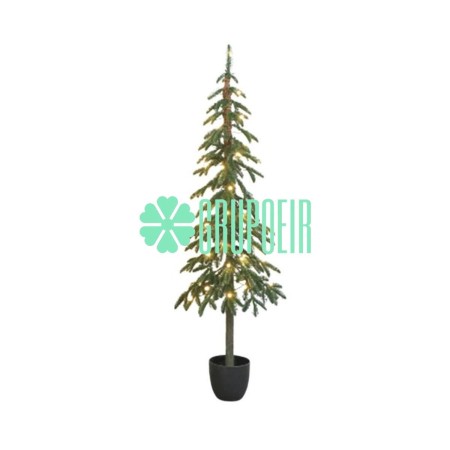 Pino Verde Maceta 1.50 Mts | Grupo EIR