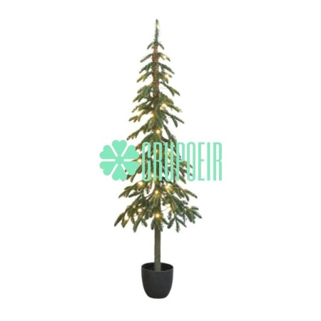 Pino Verde Maceta 1.80 Mts | Grupo EIR