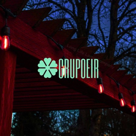 Guirnalda LED Rojo 10 Mts | Grupo EIR