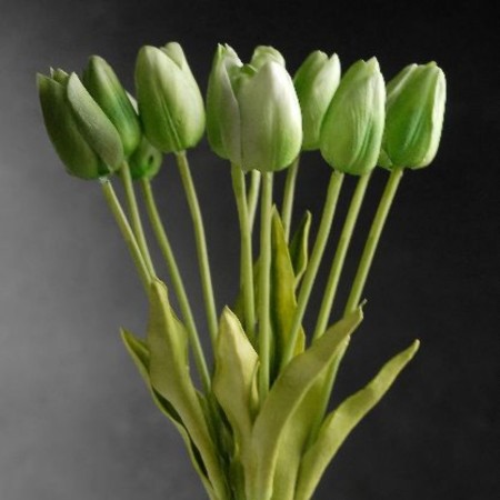 Tulipán Verde Artificial Tipo Natural Bodas Ramos Botonier Boutonniere