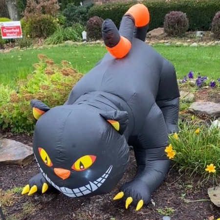 Inflable 1.8m Gato Sonriente | Grupo EIR
